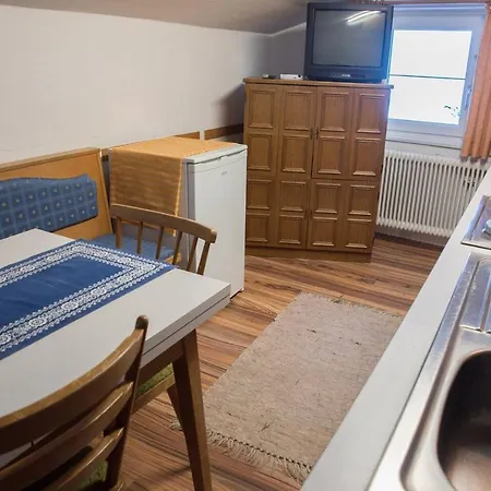 Tauernblick Sleeps 30 With Parking Holiday home Radstadt