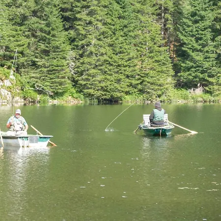 Casa de Férias Selfcatering 30 Beds Parking Pets Welcome *