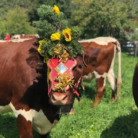 Selfcatering 30 Beds Parking Pets Welcome * Radstadt