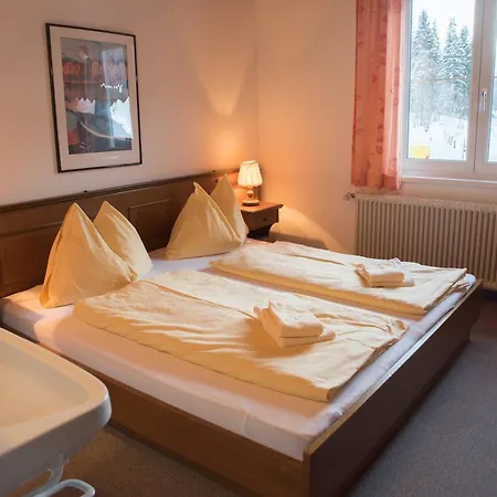 Selfcatering 30 Beds Parking Pets Welcome * Radstadt