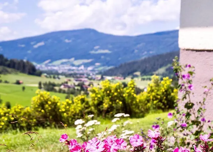 Selfcatering 30 Beds Parking Pets Welcome Holiday home Radstadt